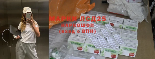 прущие грибы Балабаново
