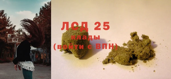 прущие грибы Балабаново