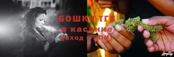 прущие грибы Балабаново