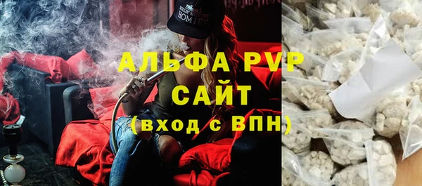 прущие грибы Балабаново