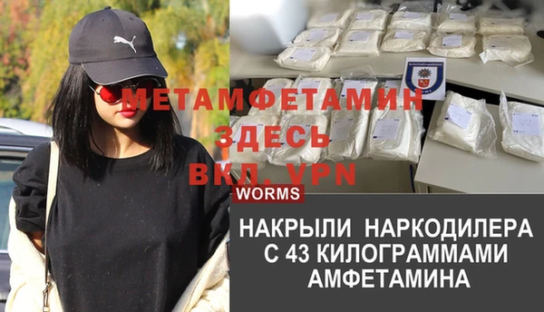 прущие грибы Балабаново
