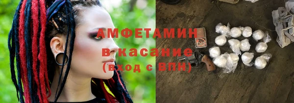 прущие грибы Балабаново